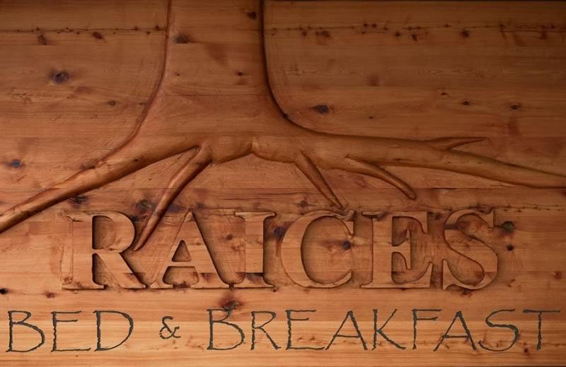 Raices Bed And Breakfast Coyhaique Extérieur photo
