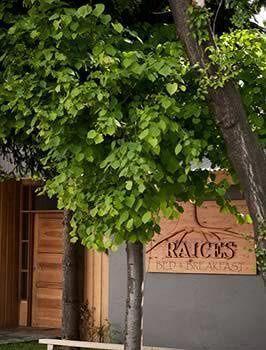 Raices Bed And Breakfast Coyhaique Extérieur photo